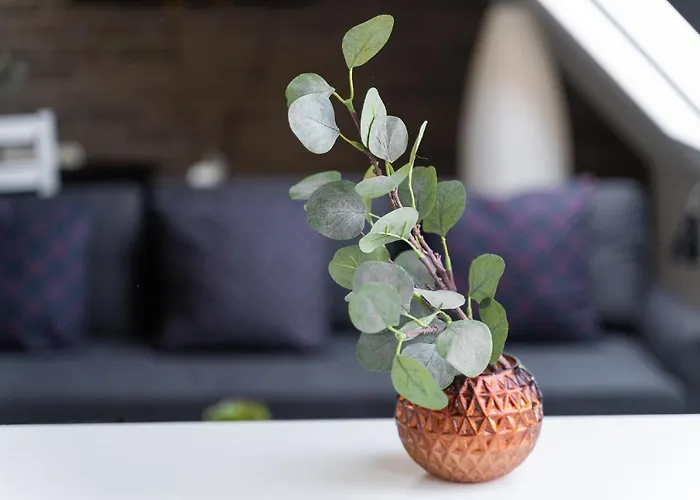 Апартаменти 800 No.1 Centrum